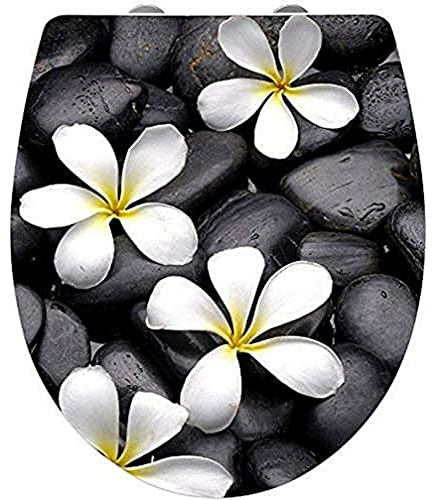 WENKO WC-Sitz Hochglanz Acryl Bloom, High Gloss Oberfläche, hygienischer Toilettendeckel mit Absenkautomatik, aus antibakteriellem Duroplast, 39 x 45 cm