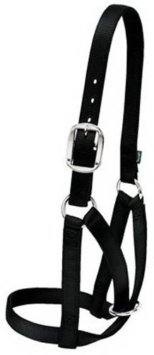 Weaver Leather Halfter für Vieh, Kuh, Schwarz, Größe XL