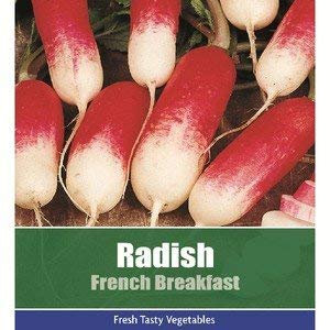 Packet of radish french breakfast garden vegetable seeds, approximately 270 seeds