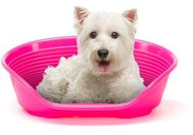 Ferplast Panier Chien Panier Chat 100% en Plastique, Respirante et Antidérapante Siesta Deluxe, 61,5 x 45 x 21,5 cm, Rose