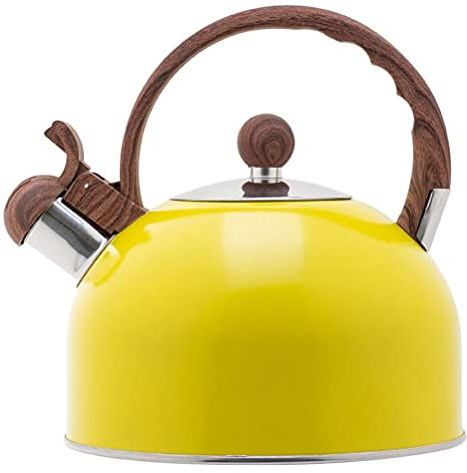 Whistling Kettle, 2.5L Stainless Steel Cooktop Kettle with Handle, Travel Camping Whistling Kettle for Gas Stove