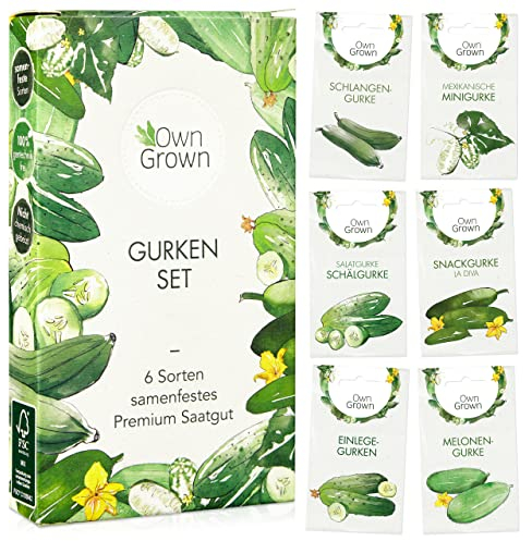 Gurken Samen Set: 6 Sorten Gurken Saatgut mit Freilandgurken Samen, Einlegegurken Samen, Minigurke Samen – Samen Gemüse Samen, OwnGrown Gurke Samen