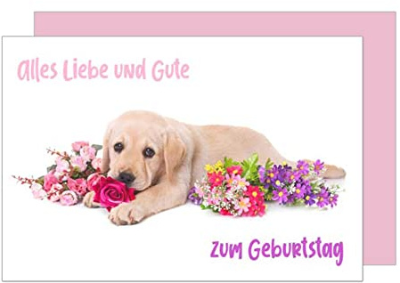 Edition Seidel Premium Geburtstagskarte mit Umschlag. Glückwunschkarte Grusskarte Billet Happy Birthday Mann Frau Kind alles Liebe und Gute zum Geburtstag Blumen Hund Welpe Karte (G3155 SW023)