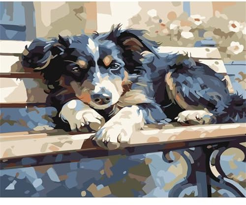 Aimaor Malen Nach Zahlen Erwachsene,Tiere Hunde Malen Nach Zahlen Kits DIY mit rahmen Handgemalt Ölgemälde Kit Leinwand Acrylfarbe Paint by Numbers Heimdekoration Geschenke - 55x70cm