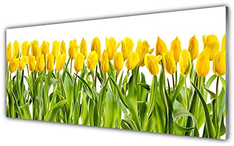 Tulup Acrylic Glass Print 125x50cm Wall Art - Wall Picture Plastic Acrylic Glass - Tulips Floral