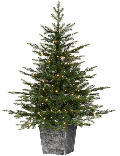 Pre-Lit Grand Fir Potted Christmas Tree, 100 Warm White LED Lights