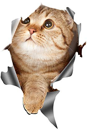 Lustige Katze Auto Aufkleber,2 Stück Wasserdicht PVC 3D Aufkleber Auto Karosserie Aufkleber Katze Heckscheibe Sticker Fenster Wandaufkleber Persönlichkeit Kätzchen Aufkleber Auto Styling Zubehör