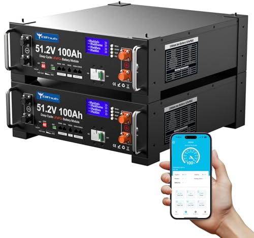 Elfhub LiFePO4 48V 200Ah Bluetooth mit 100A BMS(2er-Pack 48V 100 Ah),10.24KWh 48V Lithiumbatterie Serverschrank Solarbatterie für Solaranlage Komplettset,Photovoltaikanlage,Wohnmobil