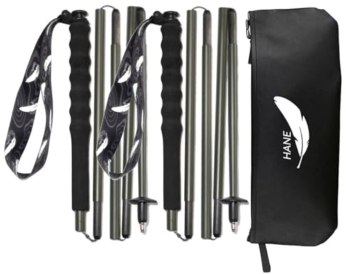 KEALING - Bastones de trekking de fibra de carbono, juego de 2 bastones plegables, 5 secciones, ultraligeros, trekking y montañismo, con mango ergonómico y fundas (verde oliva, 110 cm)