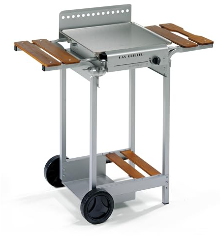 Barbecue a Gas con Carrello, Acciaio Verniciato, 47x90x93 cm, 3.7 kW, Bruciatore a Due Rampe, Mensole in Legno Massello