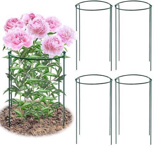 8 Pack Peony Support Cages, 10 W x 16 H Half Round Peony Plant Supports, Heavy Duty Metal Plant Support Stakes, Green Garden Plant Support Rings for Peony, Hydrangea,Tomato & Flowers