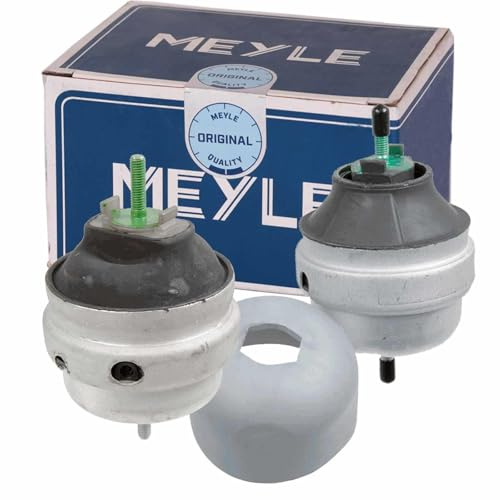 2x Meyle Motorlager vorne | 100 199 0180 + 100 199 0179 Kompatibel mit A4 B6 (8E2),A4 B6 Avant (8E5),A4 B6 Cabriolet (8H7),A4 B7 (8EC),A4 B7 Avant (8ED),