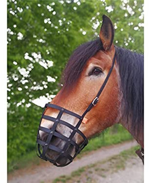 Heavy Horse Parts Fressbremse Strong (Pony, mit Kehlriemen und Verstärkter Bodenplatte)