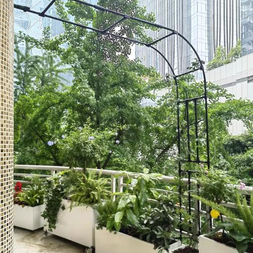 Junvstor Tonnelles de Jardin, Treillis en Arc à Demi-Face pour Plantes à Fleurs, tonnelle en métal pour Jardin extérieur, Supports pour légumes et Fruits(W120xH240CM(3.9x7.9ft))