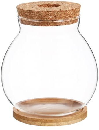 TOYANDONA Vase Hydroponique Verre Transparent pour Plantes Intérieur Vase De Propagation De Bureau Accessoire De Terrarium pour Plantation Eau