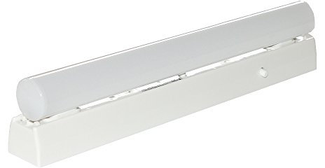 Lot de lampes linéaires LED - Couleur : blanc chaud (2 700 K) - 300 lumens - 2 culots S14S - Longueur : 30 cm - Classe d'efficacité énergétique : A+