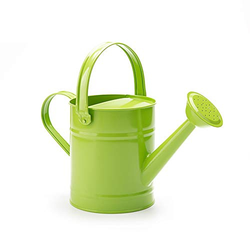 Annaffiatoio per piante, annaffiatoio per fiori, annaffiatoio in metallo con testa a spruzzo, per piante da esterno e interno, 1,5 l, 0,4 galloni (verde)