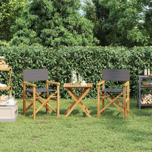 Ordellia Regiestühle 2er Set Klappbar, Grau Massivholz Teak, 57x54,5x85cm, Bequeme Outdoor Stühle für Garten, Balkon, Terrasse
