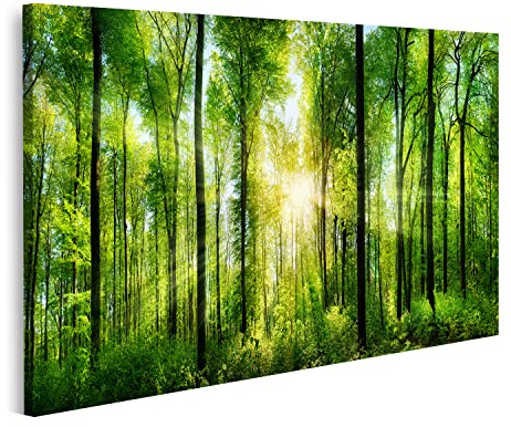 islandburner Tableau sur toile Forêt pittoresque Arbres à feuilles caduques verts Cadre Affiche Poster Murale Tableaux