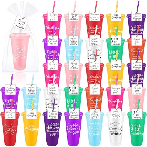 TESIN Lot de 30 gobelets en plastique avec couvercle et paille - 710 ml - Réutilisables - Cadeau de remerciement - Pour employés, collègues, enseignants, bénévoles
