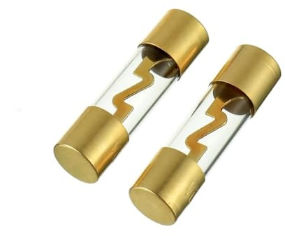 Luftschloss AGU Sicherung 10A 2 Stück 10Amp AGU 10x38mm Auto Audio Power Schutz, Sicherungen Glasrohr Nachfüllungen 12V-48V für Automotive