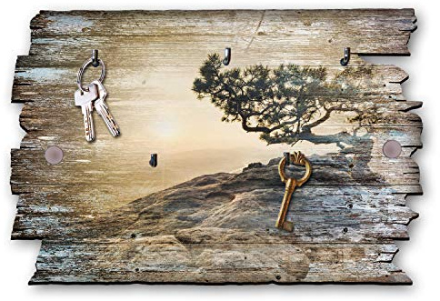Kreative Feder Baum Designer Schlüsselbrett, Hakenleiste im Landhaus-Stil, Shabby-Chic aus Holz 30x20cm (Einsamer Baum)