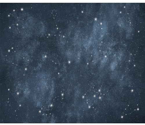 murando - Fototapete Premium-Vlies Sterne, 350x256 cm, Schlafzimmer, modern | Premium-Vliesstoff, Full HD Druck, hochwertige Verarbeitung fürs Wohnzimmer, schnelle Montage, lichtbeständig, geruchsfrei