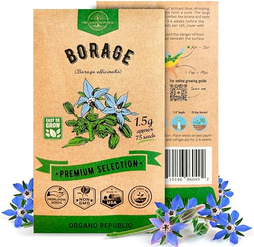 Borage Seeds Pack 1.50 G - Over 75 Non-GMO Heirloom Borage Seeds for Planting Herbs in Individual Seed Packet, Herbs Seeds for Planting Home Garden Indoor & Outdoor Gardening
