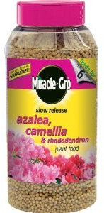 Miracle-Gro 1 kg Slow Release Azalea Camellia and Rhododendron Plant Food