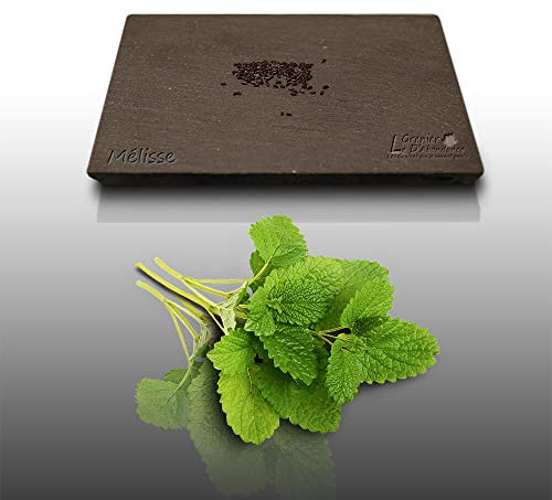 50 Grines Aromatiques à semer - Le Grenier d'Abondance - MELISSE Officinale - Melissa officinalis