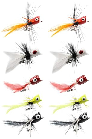 Lot de 10 appâts de pêche à la mouche secs - Hameçons réalistes pour truite, saumon dans les rivières, les étangs, les lacs, les eaux plates, l'extérieur