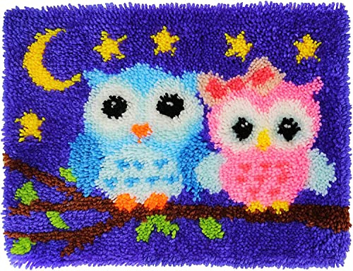 ROCKY&CHAO Knüpfhaken-Set für Erwachsene und Kinder - Eulenmuster, 50 x 38 cm, komplettes Bastelset zum Selbermachen von Teppichen mit Garn und Leinwand und Häkelnadel, Erwachsenen-Bastelsets für