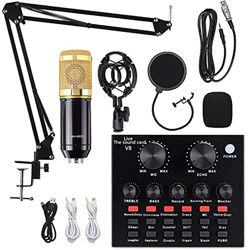 BM-800, Pacchetto Microfono a Condensatore, Scheda Mixer Scheda Audio Live, Mixer Audio Portatile con Jack USB a 2 Canali per Laptop con Audio Digitale SPDIF - Suono con Supporto Regolabile, Support