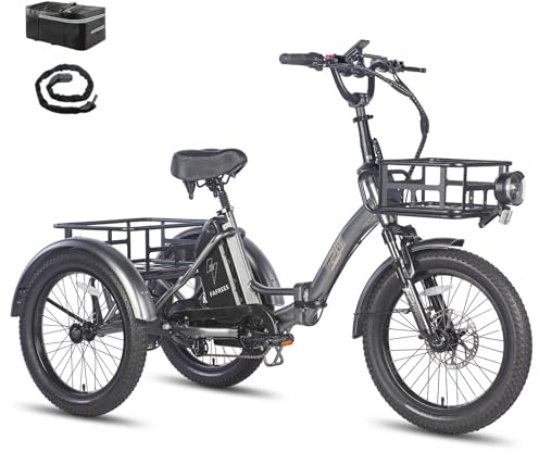 Fafrees F20 Mate Elektro Dreirad 250W 25km/h, E-Bike 3 Rad Upgrade 48V 20Ah Akku, E Bike Klapprad 20 * 3.0 Zoll, Reichweite bis zu 110Km, 65N.m E-Dreirad Lasten für Erwachsene