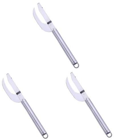 VOSAREA 3pezzi Raschietto per Squame Inossidabile Strumento per Utensile e Portatile per Rimuovere Squame Danneggiare La
