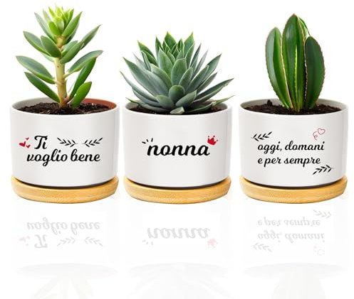Festa dei Nonni Idee Regalo, 3 Ceramica Vasi Vaso Piante Grasse Regalo Nonna Compleanno Natale Regali Originali Idee per Piante Da Interno Esterno Decorativo