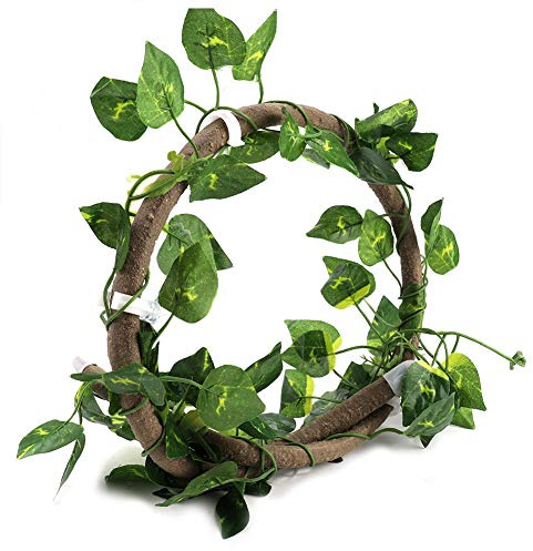 Pissente Flexible Reptilienranken und Dschungelranken, 100cm Rattan und 210cm Efeutute, Biegbare Terrarium Dekoration für Eidechsen Schlangen Geckos | Flexible Kunststoff-Lianen, natürliche Dschungeloptik, inklusive Saugnäpfe, für Regenwald-Terrarien, ungiftige PU-Blätte