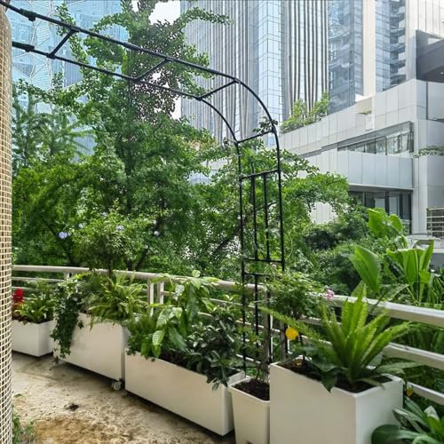 Treillis en métal - Pergola de jardin en acier pour mariage, arches de fleurs murales parfaites pour plantes grimpantes, légumes et décoration (240 x 240 x 40 cm)