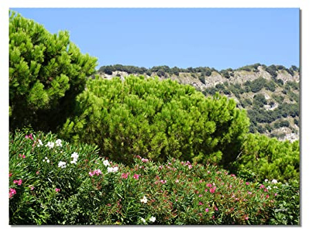 Glücksvilla Murale - Lago di Garda paesaggio 2 - (immagine in vetro acrilico 5 mm, 40 x 30 cm) Stampa artistica in Germania - Lago Italia, montagne Oleander Tirol Lago di Garda