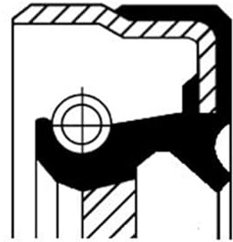Corteco 01025661B Wellendichtring, Differential hinten | 01025661B passend für 124