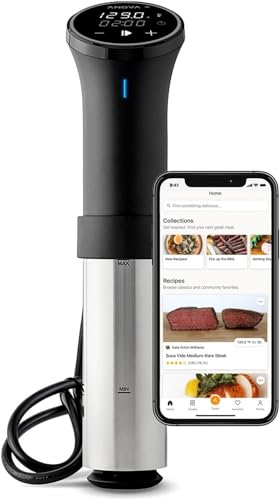 Anova Cuiseur de précision 3.0 AN525-EU00, Precision Cooker, Sous Vide, WiFi, 1100 Watt, incl. prise type C pour utilisation EU, Wifi, incl. app Anova, noir et argenté