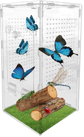 Acunny Hábitat para Arañas Saltarinas | Terrario de Acrílico para Mantis y Arañas Saltarinas,Hábitat a Prueba de Fugas para, Observación Científica y Tarántulas