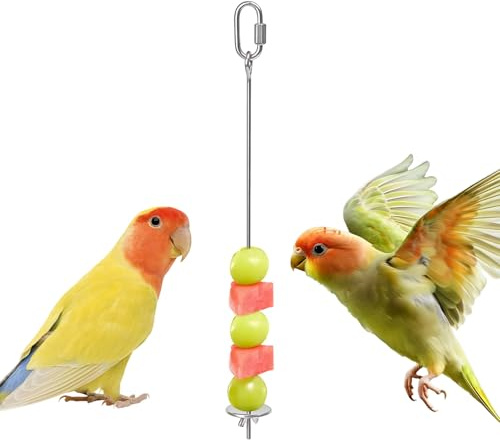 Brochette Fruits pour Oiseaux | Mangeoire en Acier Inoxydable pour Fringuets Aux Légumes | Brochette Légumes Perruches - pour Fourrage en Cage pour Cacatoès