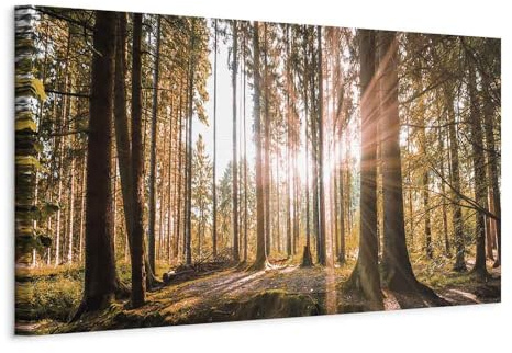 B&D XXL - Leinwandbild Waldlandschaft Natur, 120x40 cm, 1-teilig, modern | Hochwertige Leinwand, sofort aufhängbar, ideal fürs Wohn- oder Schlafzimmer, wasserfest und lichtecht, langlebig, stilvoll