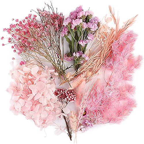 Fiori Secchi Naturali, 1 Scatola Mazzi Fiori Secchi, Artigianato Floreale, Foglie, Petali Fiori Fatti Mano, per Resina, Album Ritagli, Candela Fai da Te, Creazione Gioielli con Ciondoli, Rosa