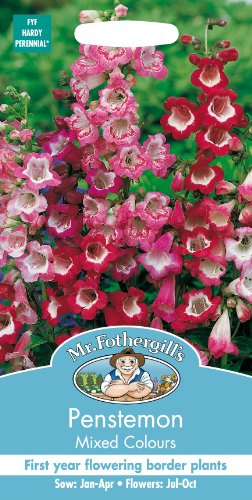 Mr. Fothergill's Penstemon Mixed Colour Flower Seeds