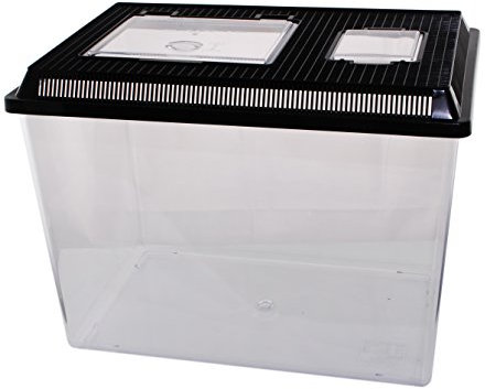 Neu PET-Plaza Kunststoffbox - Faunarium - Kunststoffterrarium - Faunabox - Insektenbox - Insektenterrarium - Box für Futterinsekten (46 x 30,5 x 33,5cm)