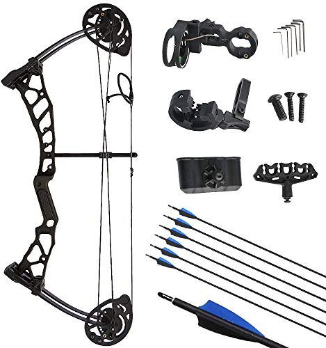 ZSHJGJR Ensemble Arc et Flèche pour Arc à Poulies Kit Arc à poulies pour la Chasse à l’Arc 16-28 Lbs Enfant et débutant Kit d'arc composé avec Flèches (Noir)