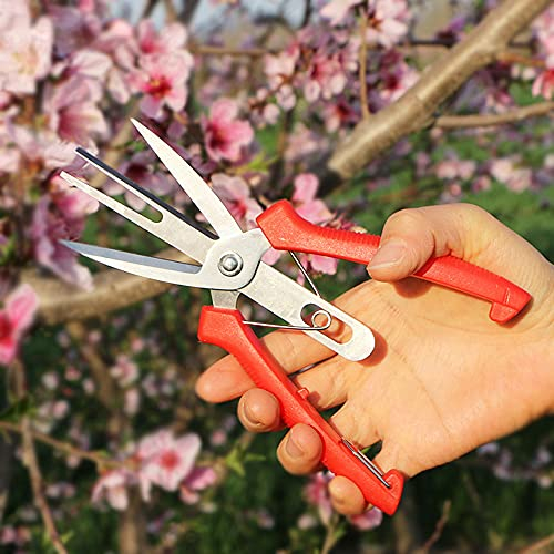 DOUFAN Forbici per sfoltire Frutta e Fiori a Doppia Porta, Forbici per potatura da Giardino con Impugnatura Comoda, perfette per Tagliare Piante, Erbe idroponiche, Raccogliere Fiori