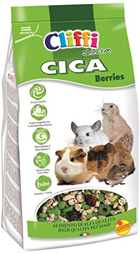 CICA Berries 800g per CAVIE, CINCILLÀ, Degu E Cani della PRATERIA